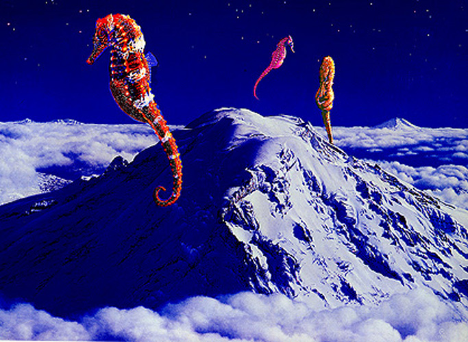 Painting - My Seahorse won the Mystic Mountain Fly-by